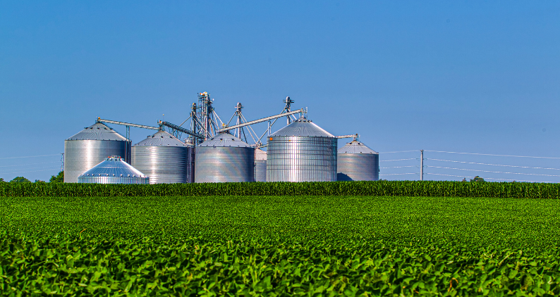 Agronegócio atendido pela Nexx com SAP Business One